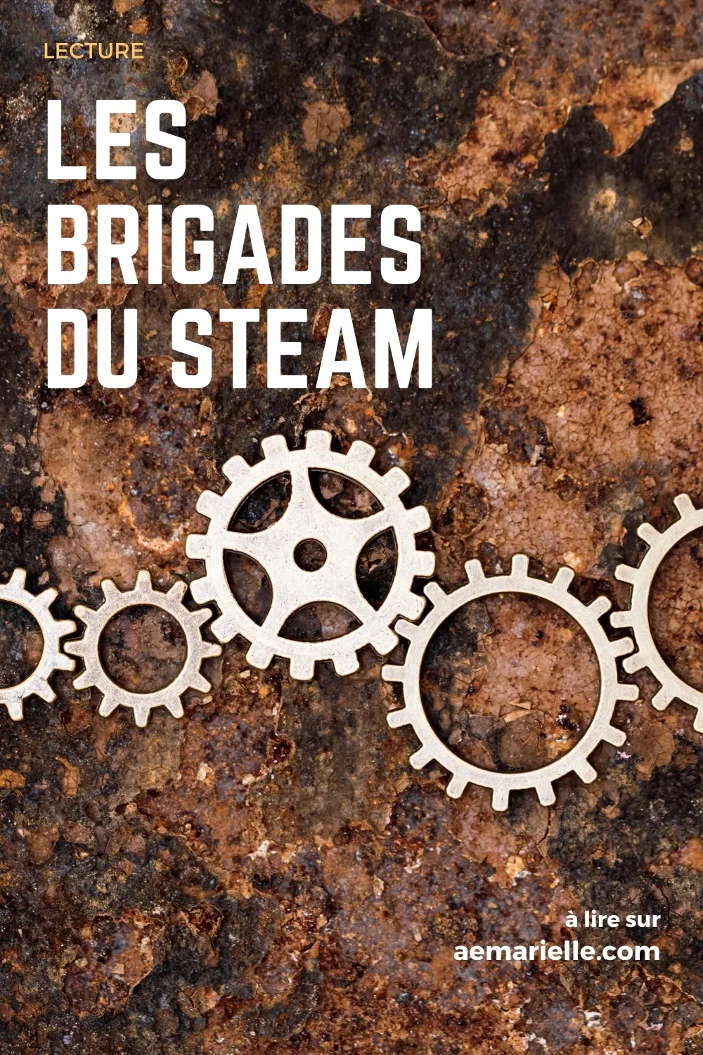 Les Brigades du Steam | épingle Pinterest 1