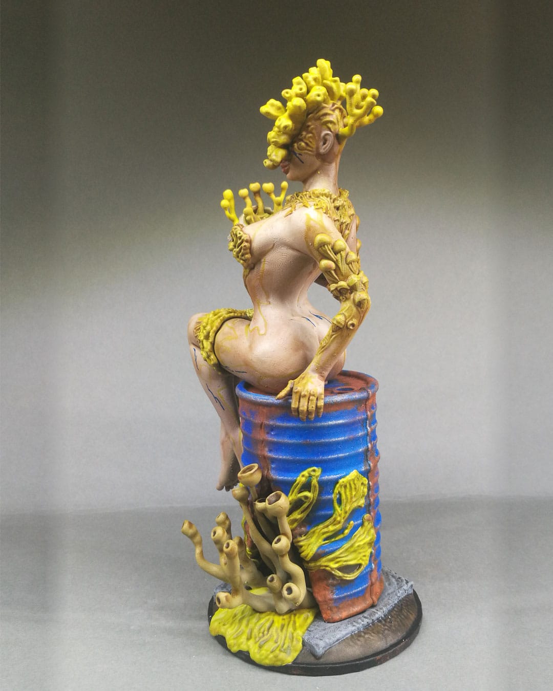 Champinup (Vendue) – Image 2